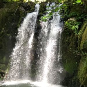 Meet your Posher, Shelly